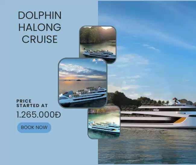 Dolphin Halong Cruise