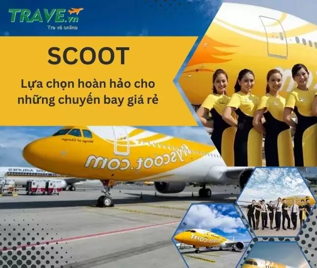 Scoot